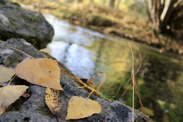 imagen Cuenca en otoño: naturaleza, cultura y eventos para disfrutar de una escapada inolvidable