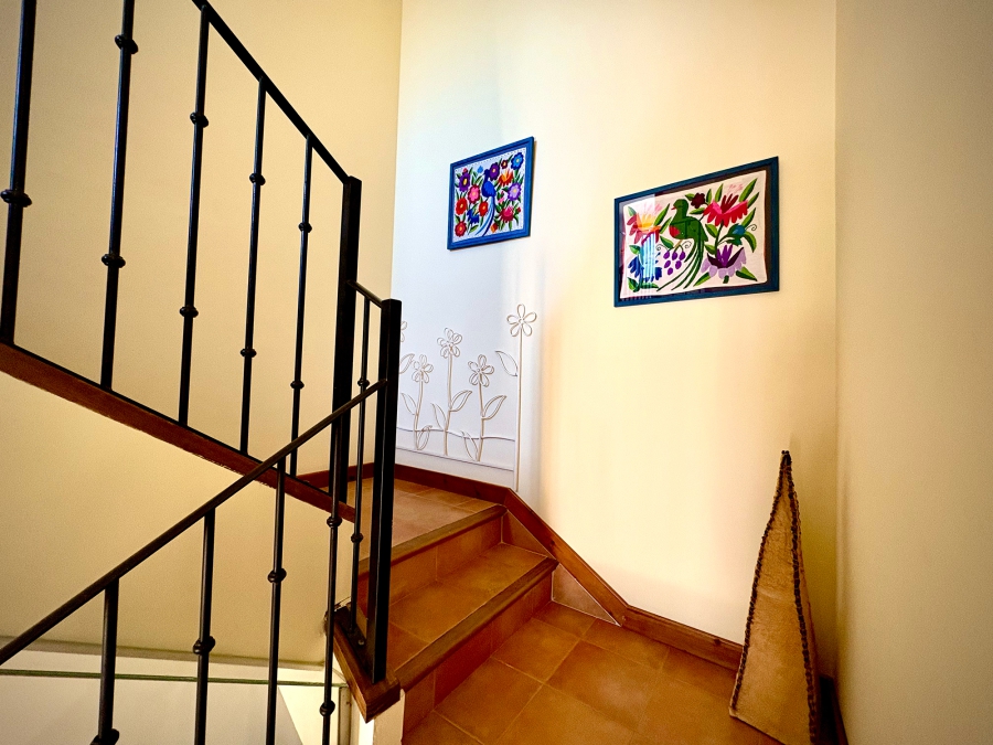 Servicios y zonas comunes